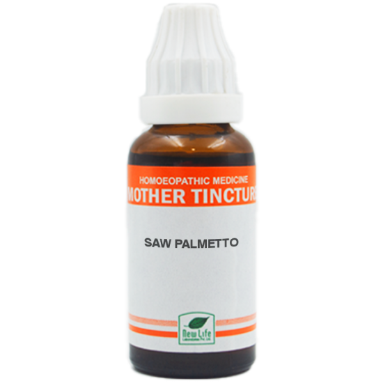 New Life Saw Palmetto (Sabal Serr.)