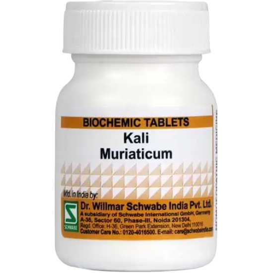 Willmar Schwabe India Kali Muriaticum