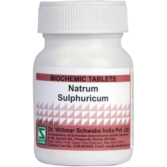 Willmar Schwabe India Natrum Sulphuricum