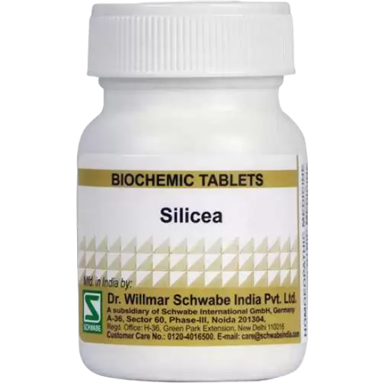 Willmar Schwabe India Silicea